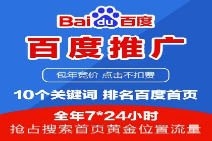 百度竞价投放技巧：行业领先企业的成功策略案例