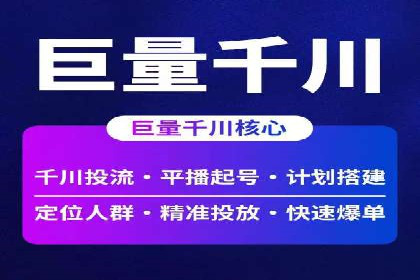 SEM代运营案例分析：精准投放策略解析